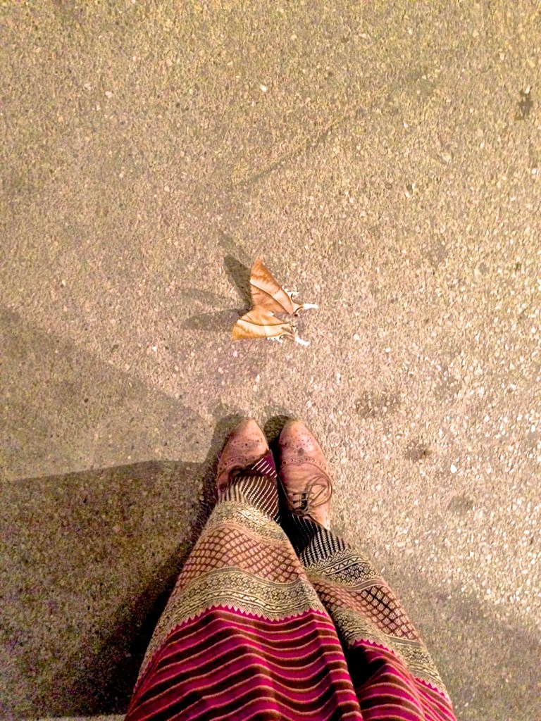 madeau the universe vagabond photography travelerMG_0917 -