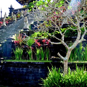 madeau photography bali indonesiaMG_0533 -