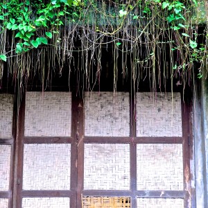 madeau bali photography vagabondMG_0917 -