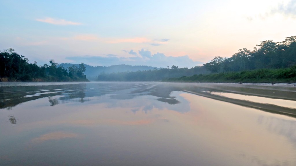 madeau vagabond nature malaysia jungle