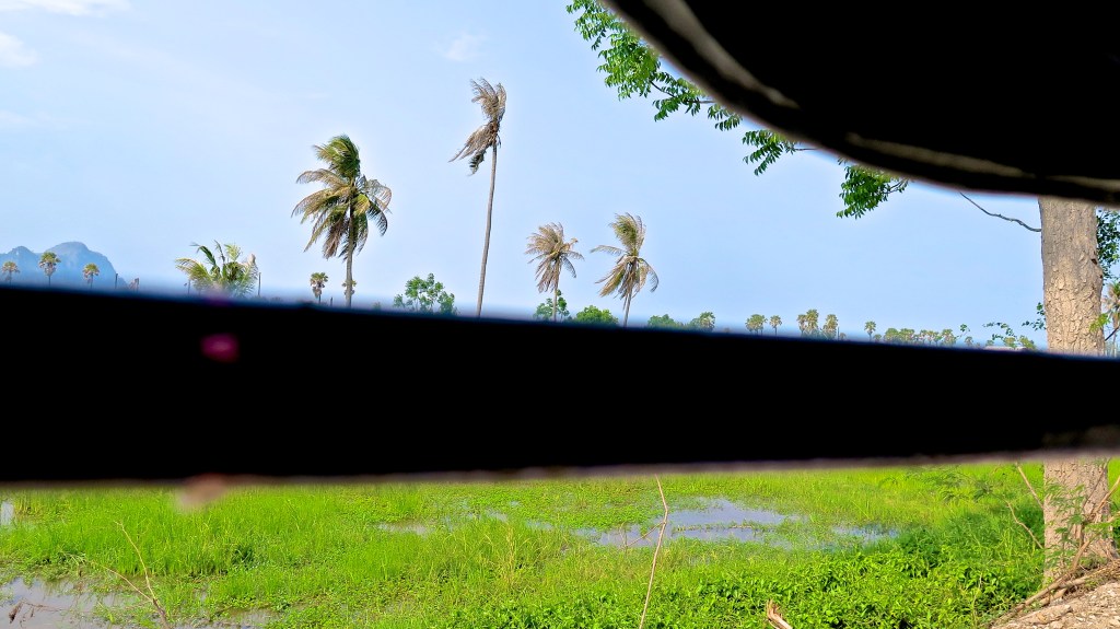 2015-03-29IMG_2041 -