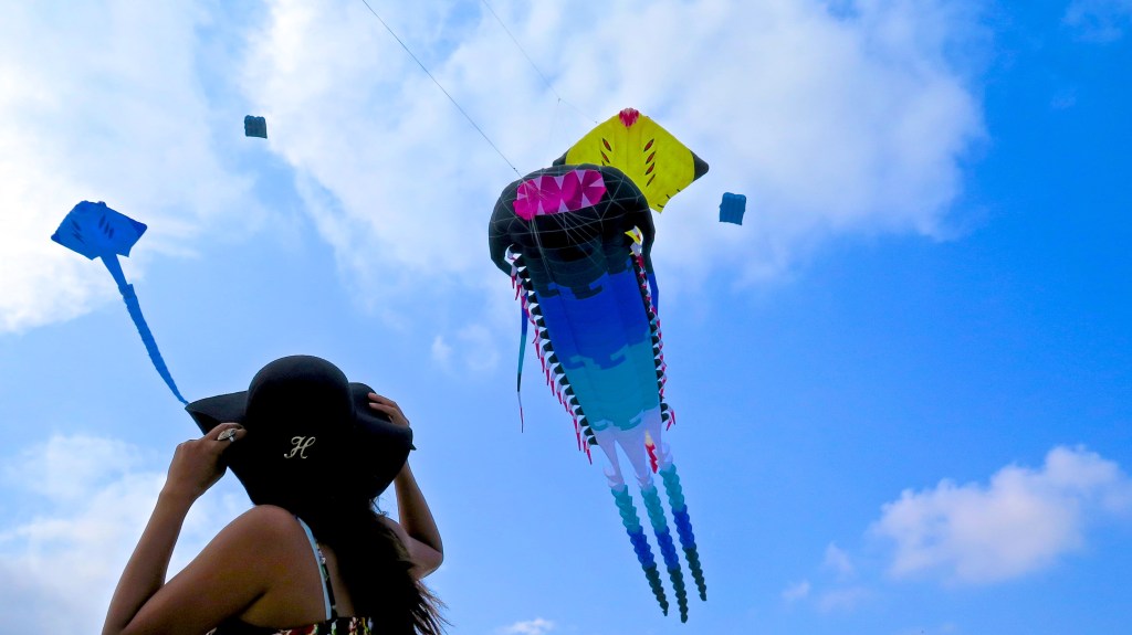 2015-03-29IMG_2062 -