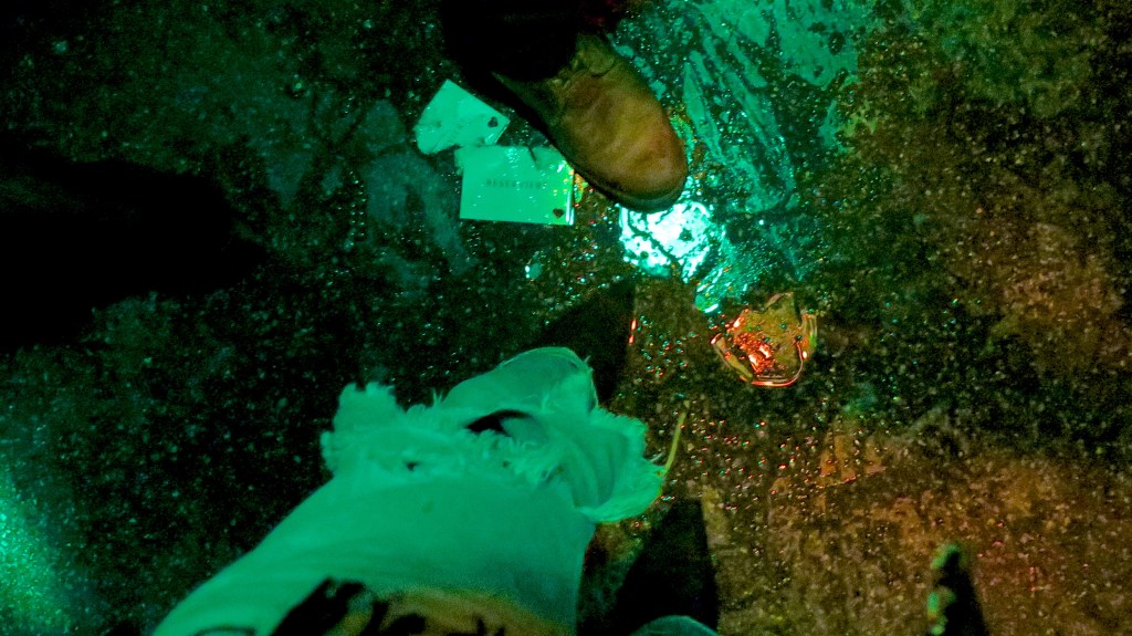 madeau the lens photography munich vagabond heart dance floor