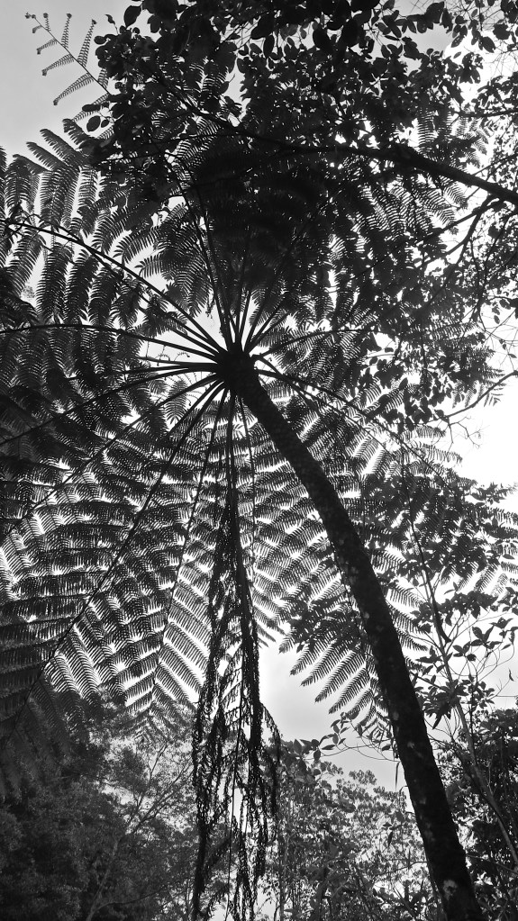 madeau vagabond asia b/w photography